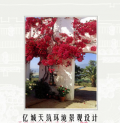 ڳƷı