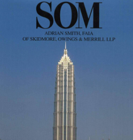 罨侫ѡ-SOM